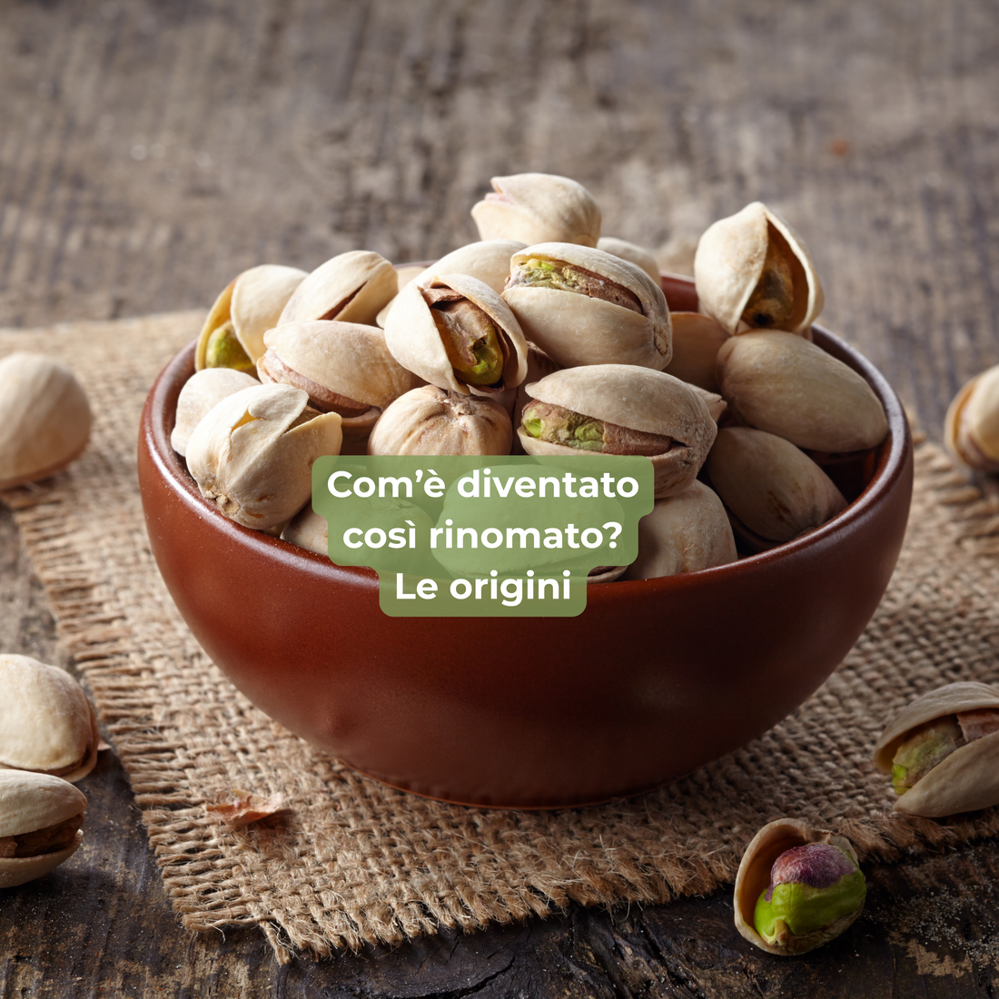 Pistacchio di Bronte: perché è considerato l’Oro Verde della Sicilia?