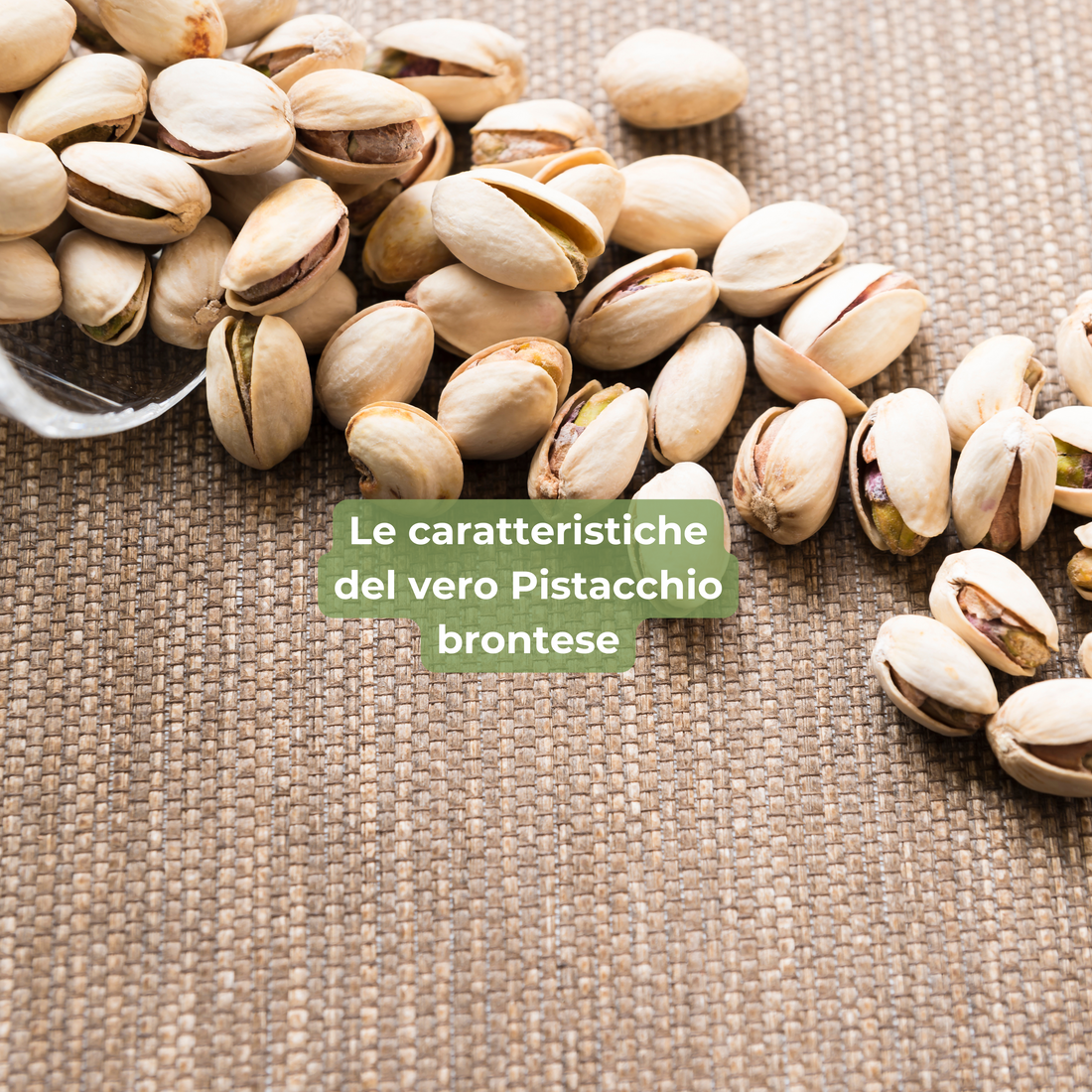 Come riconoscere un vero Pistacchio di Bronte? Guida all’acquisto consapevole